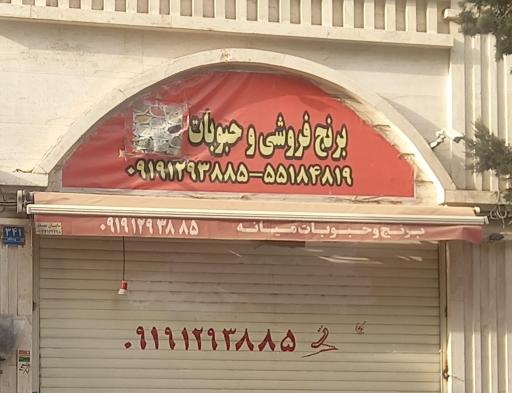 عکس برنج فروشی وحبوبات 