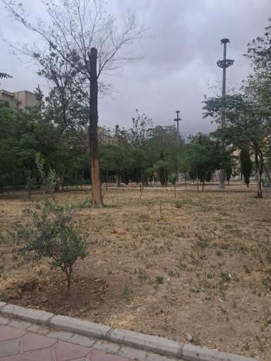 عکس بوستان فتاحی