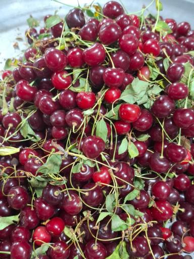 عکس بازار روز بابلسر