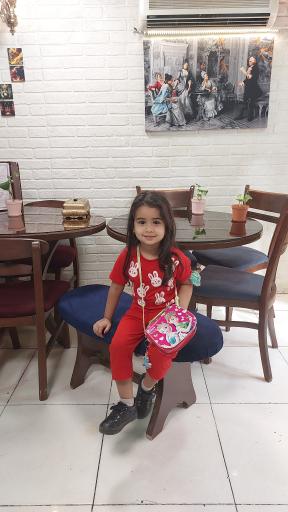 عکس کباب شمسا