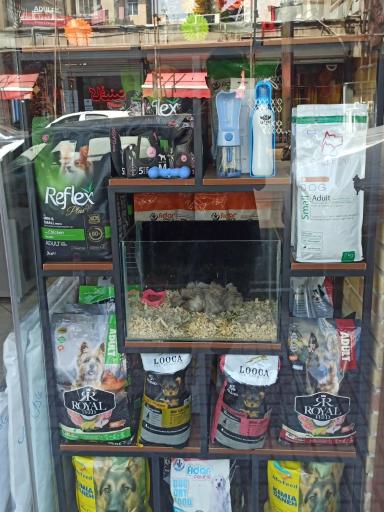 عکس پت شاپ عادل