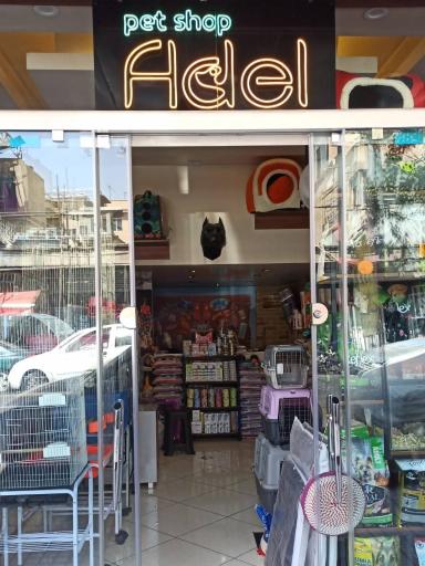 عکس پت شاپ عادل