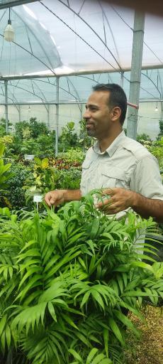 عکس گلخانه ذبیحی