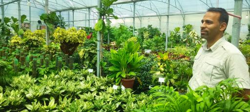 عکس گلخانه ذبیحی