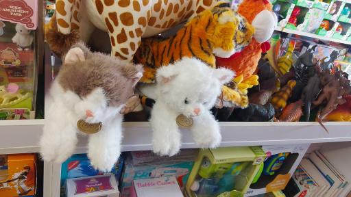 عکس فروشگاه اسباب بازی هولا تویز