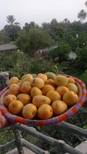 عکس اقامتگاه بومگردی مرادی