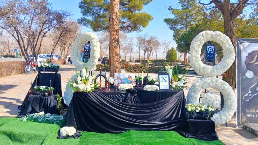 عکس تشریفات نامیرا