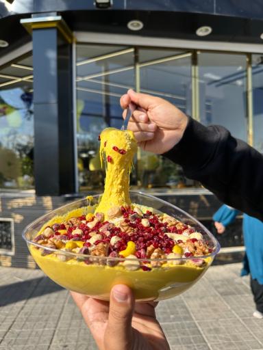 عکس خورش ماست سنتی اصفهان (عالیجناب)