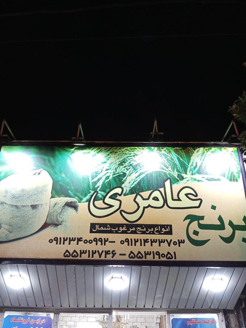 عکس برنج عامری