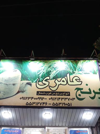 عکس برنج عامری