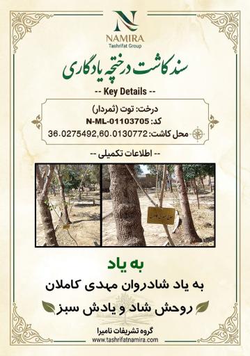 عکس تشریفات نامیرا (رزرو مساجد)