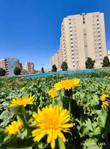 عکس مجتمع مسکونی حکیم شفایی مهدی نهضتی