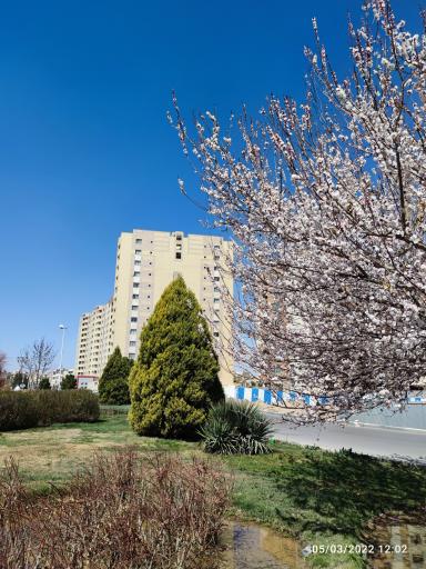 عکس مجتمع مسکونی حکیم شفایی