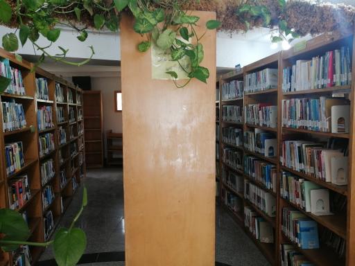 عکس کتابخانه شهید جاوید محمدیان