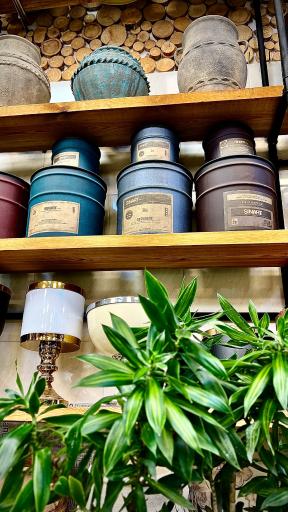 عکس گل و گیاه آقاخانی