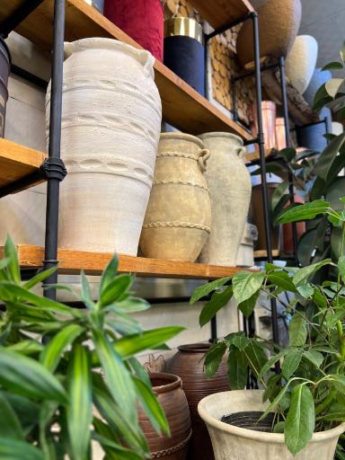 عکس گل و گیاه آقاخانی