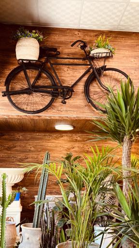 عکس گل و گیاه آقاخانی