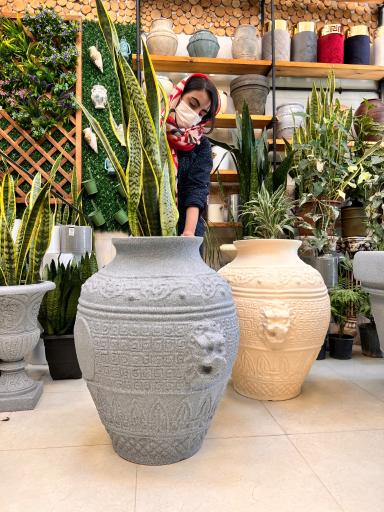 گل و گیاه آقاخانی