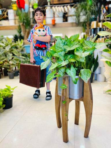 گل و گیاه آقاخانی