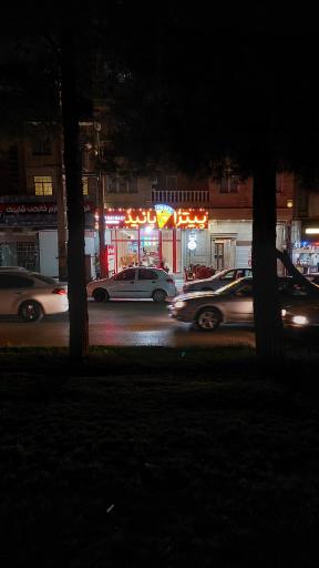 عکس پیتزا پانیذ