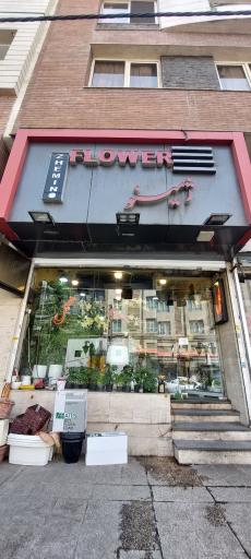 عکس گل فروشی ژمینو