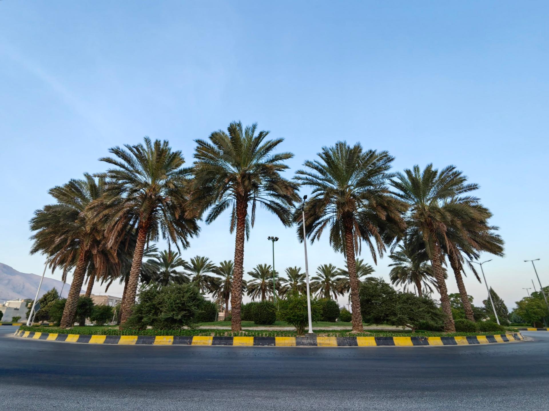 عکس میدان رضوان