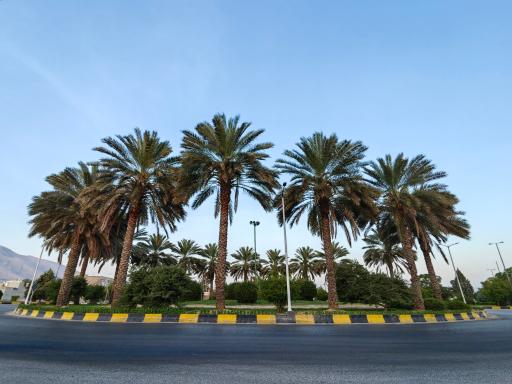 عکس میدان رضوان