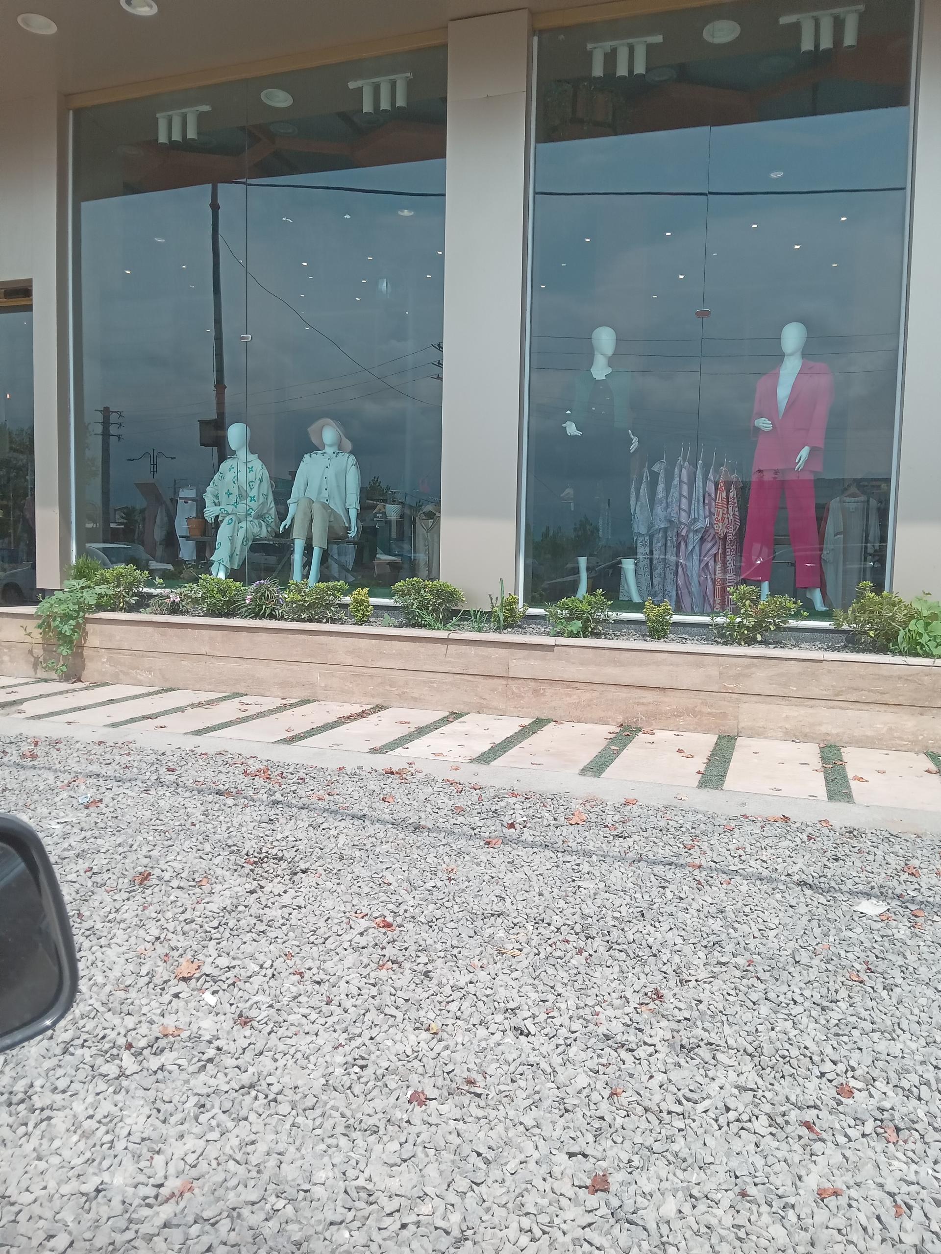 عکس تی آرنور