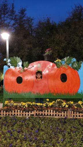 عکس باغ ماجراجویی