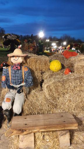 عکس باغ ماجراجویی