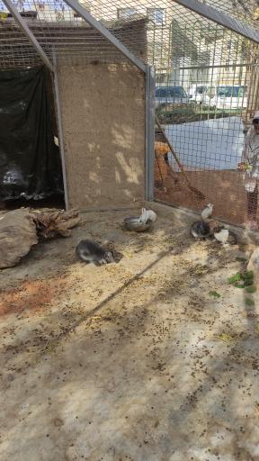 عکس باغ ماجراجویی