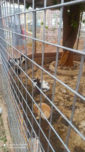 عکس باغ ماجراجویی