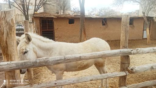 عکس باغ ماجراجویی