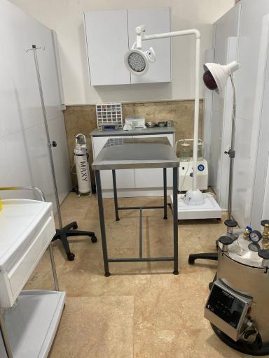عکس کلینیک دامپزشکی مها