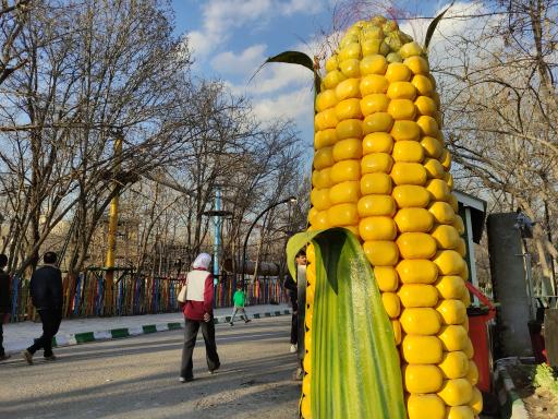 عکس باغ ماجراجویی