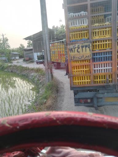 عکس مرغداری رجبی