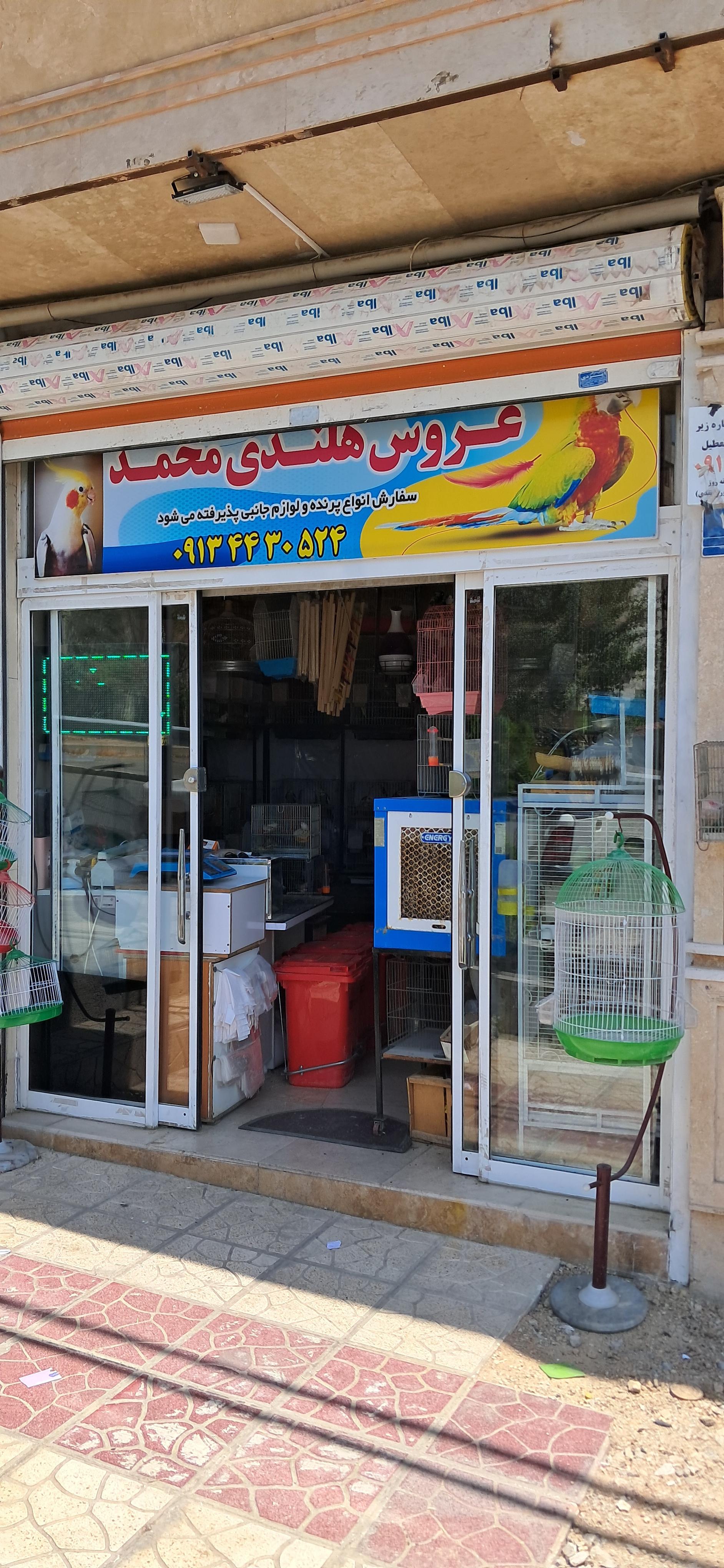 عکس پرنده فروشی محمد