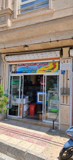 عکس پرنده فروشی محمد