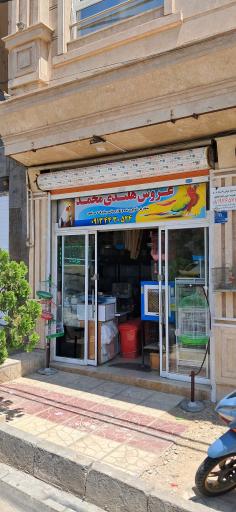 عکس پرنده فروشی محمد