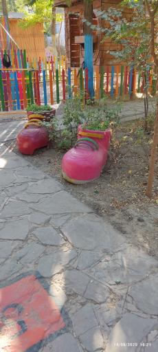 عکس باغ ماجراجویی