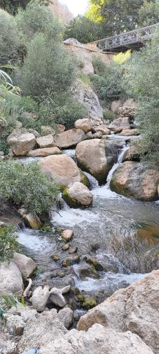 عکس آبشار بیشه