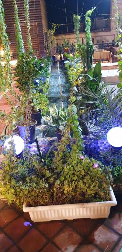 عکس کافی شاپ صادقیه