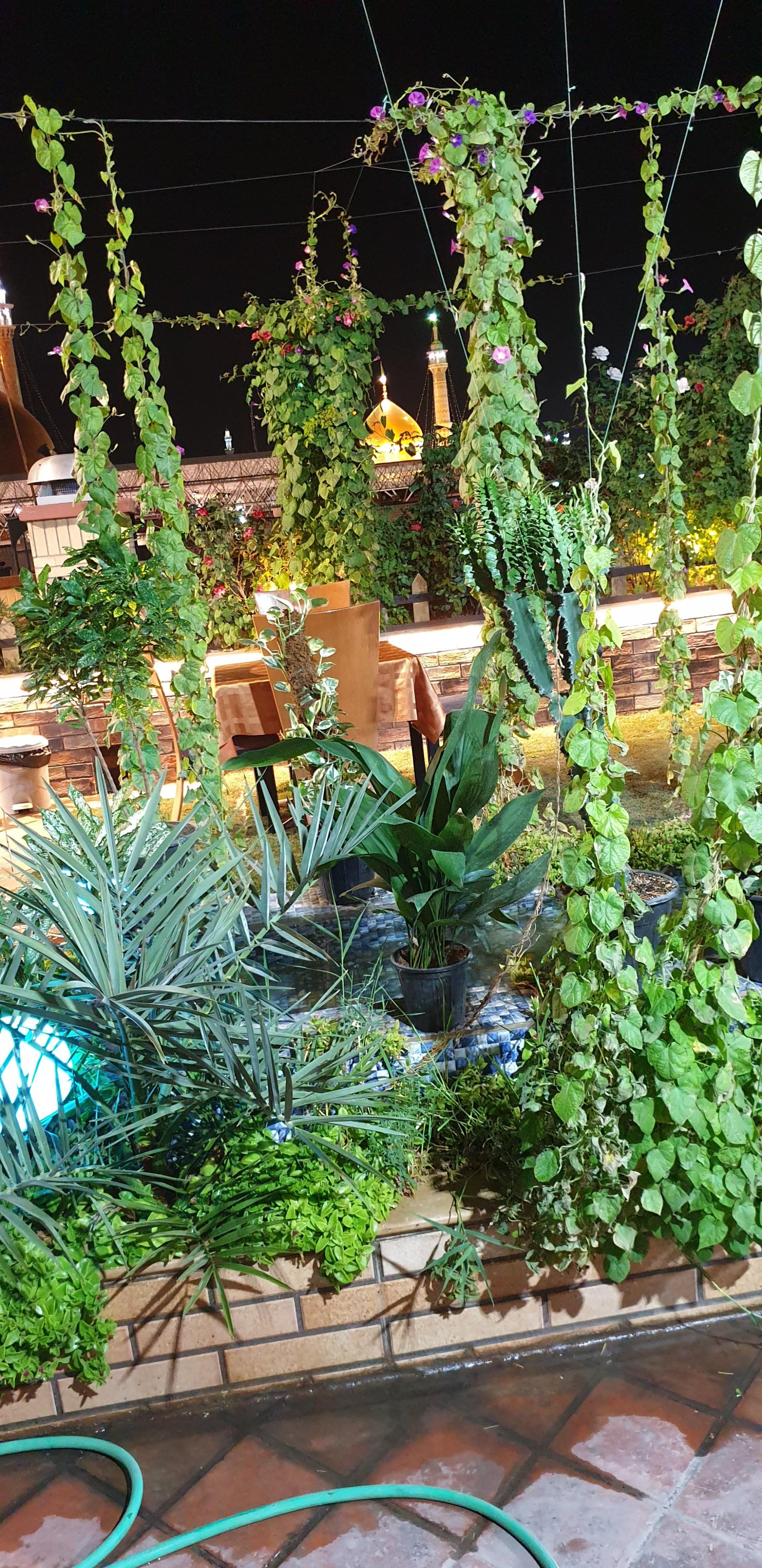 عکس کافی شاپ صادقیه