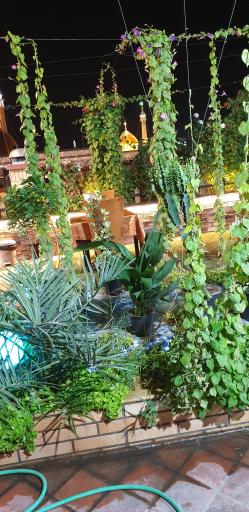 عکس کافی شاپ صادقیه