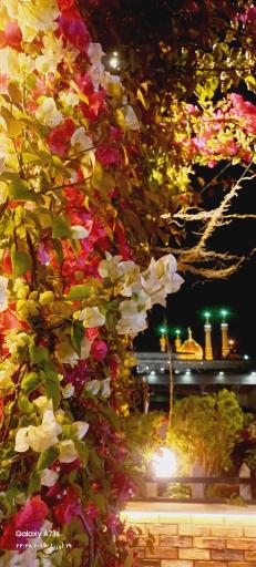 عکس کافی شاپ صادقیه