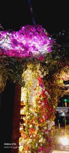 عکس کافی شاپ صادقیه