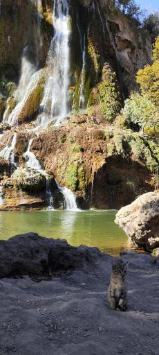 عکس آبشار بیشه