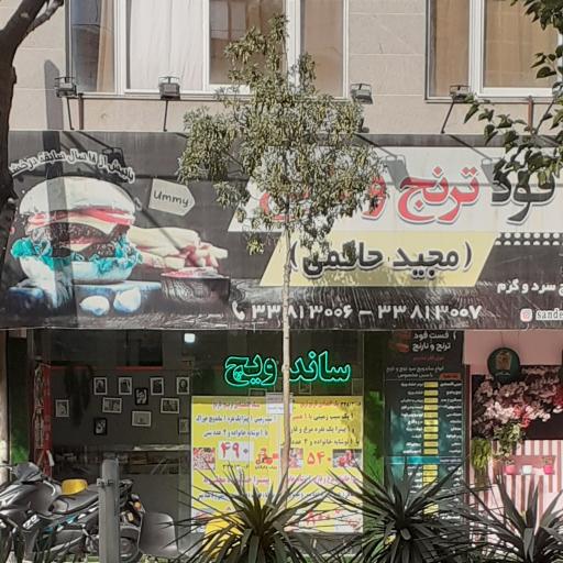 عکس ساندویچ و پیتزا ترنج و نارنج