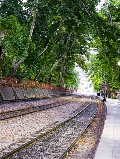 عکس آبشار بیشه