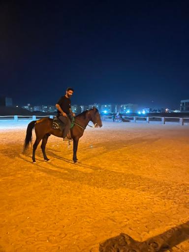 عکس اصطبل اسب زاهدان 